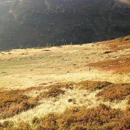 янтри Drahobrat