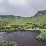 Янтри Dragobrat