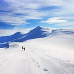 Янтри Dragobrat